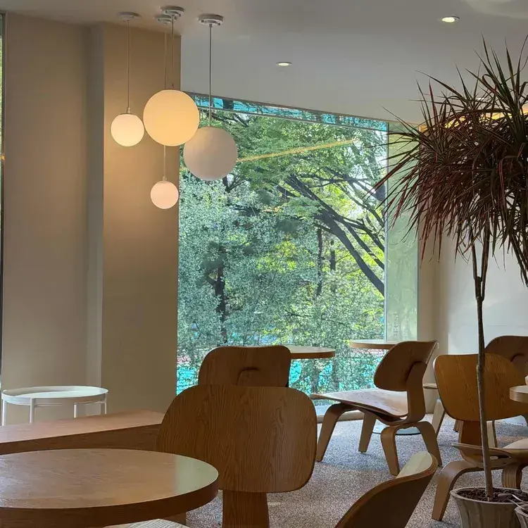 Forest Seoul Forest 店内环境
